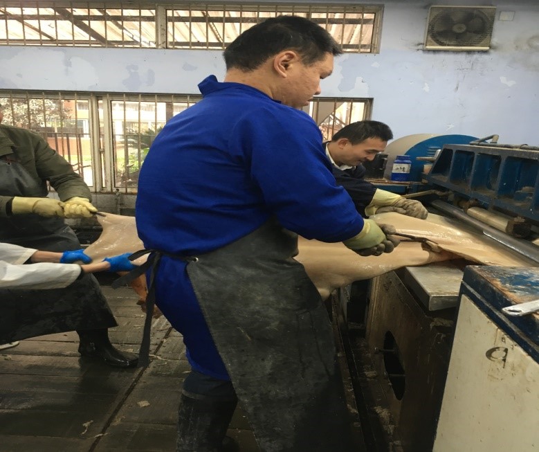 黄色网址大全