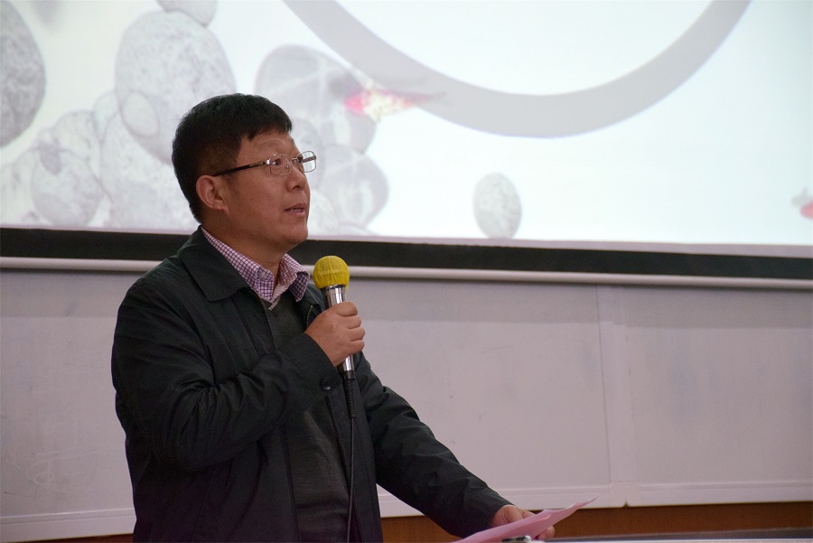 黄色网址大全