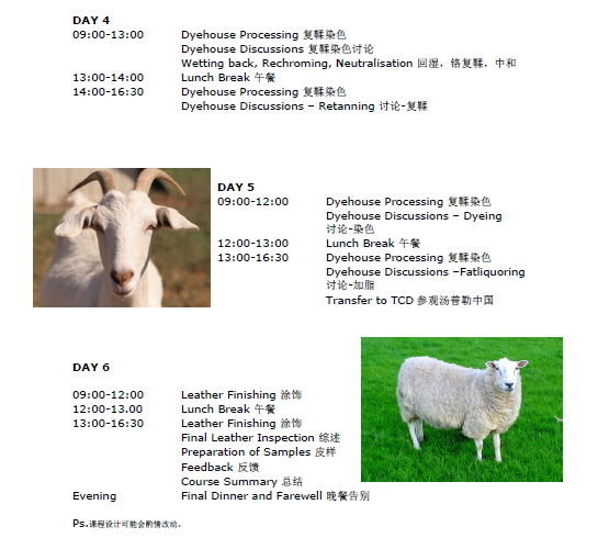 黄色网址大全