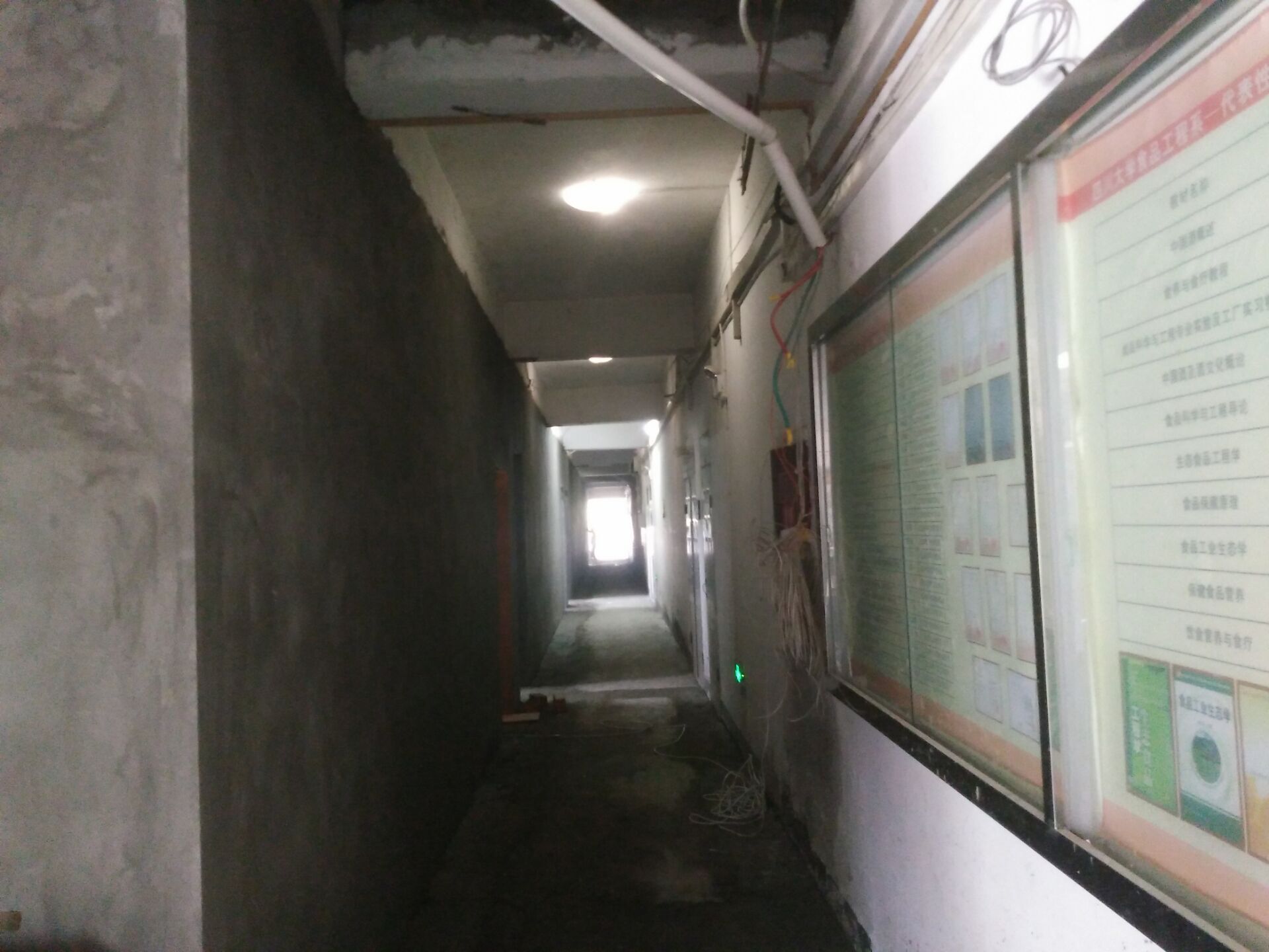 黄色网址大全