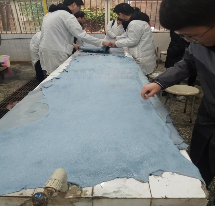 黄色网址大全